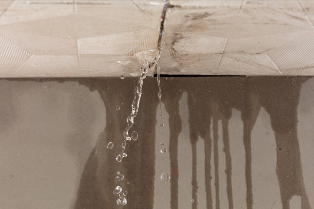 Professional Water Damage Inspection technician working in Utica, MO